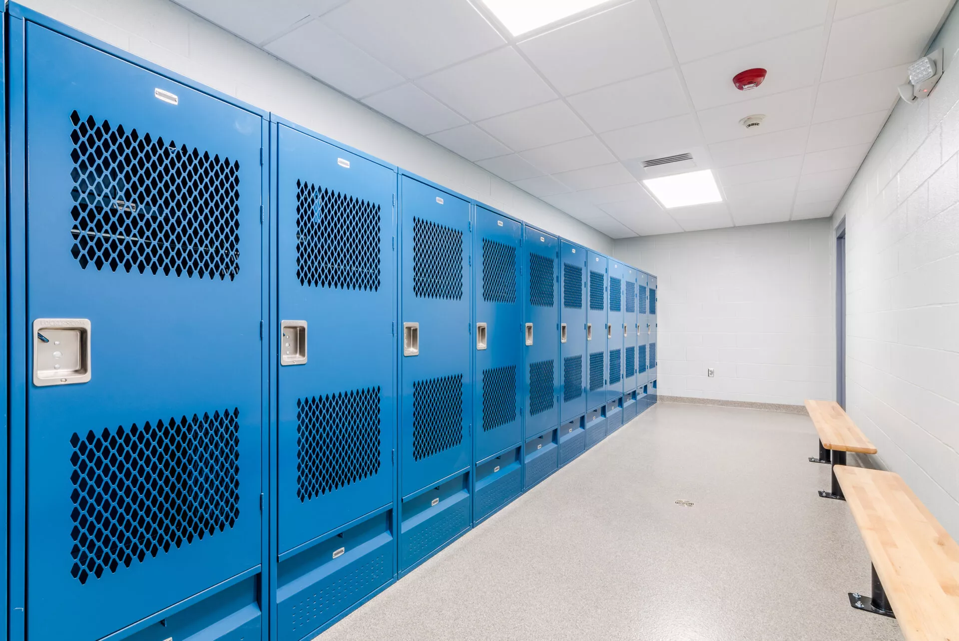 17 - From Schultz.jpg