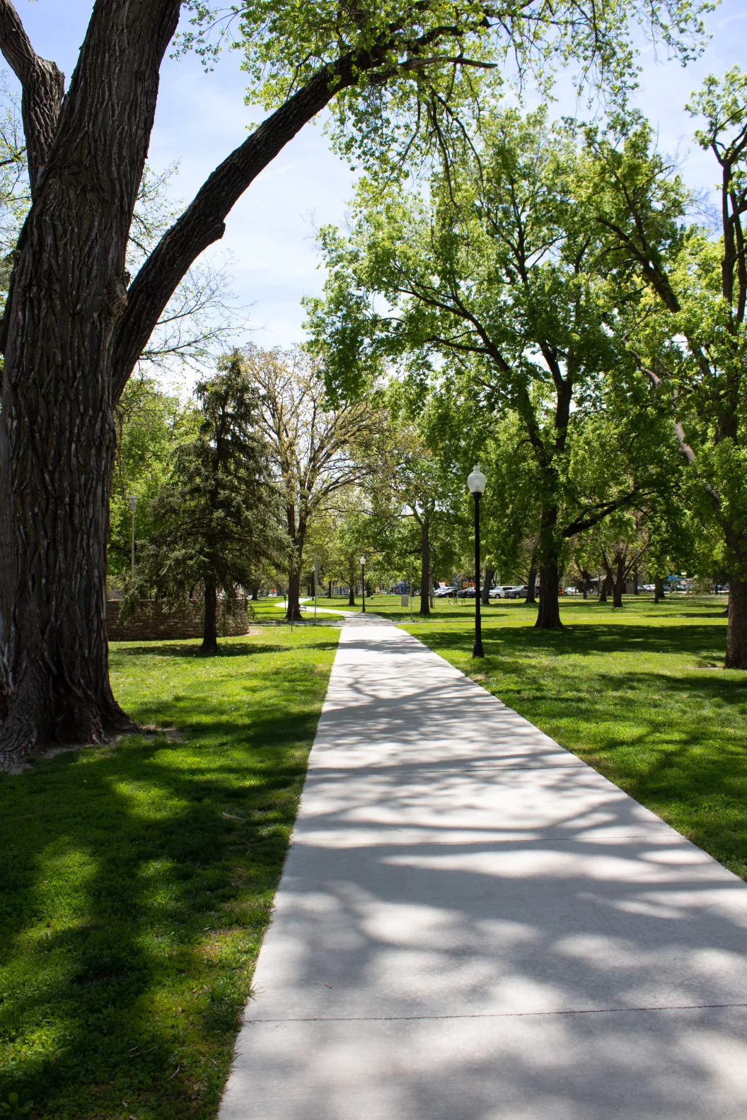 19-1477M Clarenburg Trail IMG_9094.jpeg